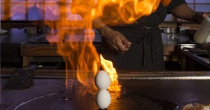 hibaci cooking japanese steakhouse charlotte